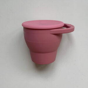The Future Artist Snack Cup Powder