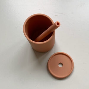 The Future Artist Straw Cup with Lid Terra