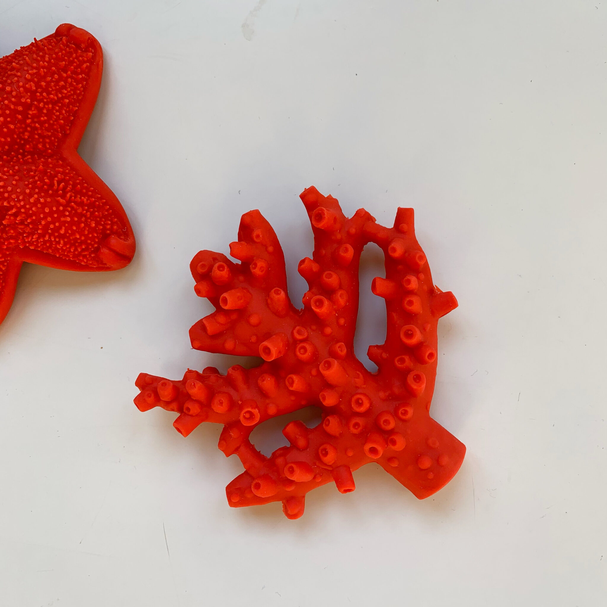 Lanco Teething Toy Coral – The Milk Minimalist