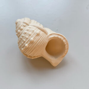 Lanco Teething Toy Shell Round