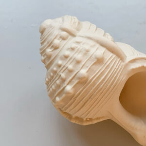 Lanco Teething Toy Shell Round