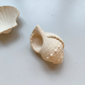 Lanco Teething Toy Shell Round