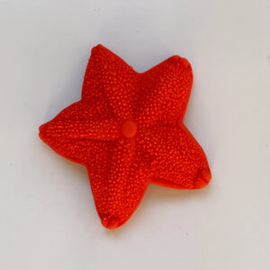 Lanco Teething Toy Starfish