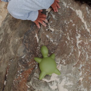Honu Play Greta The Great Green